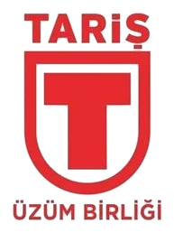 Referans 31 logosu